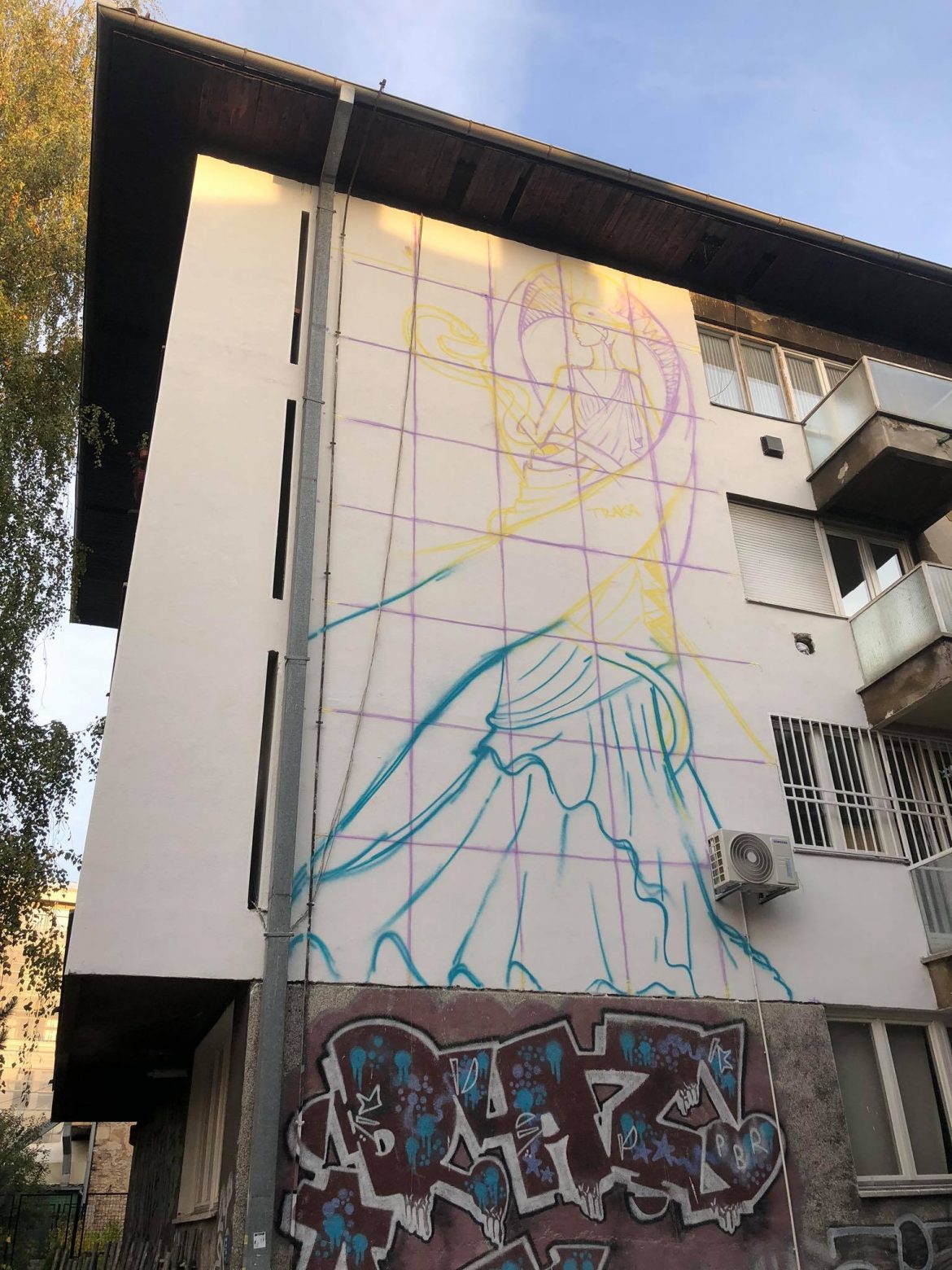 karcinom dojke mural izlječenje sarajevo