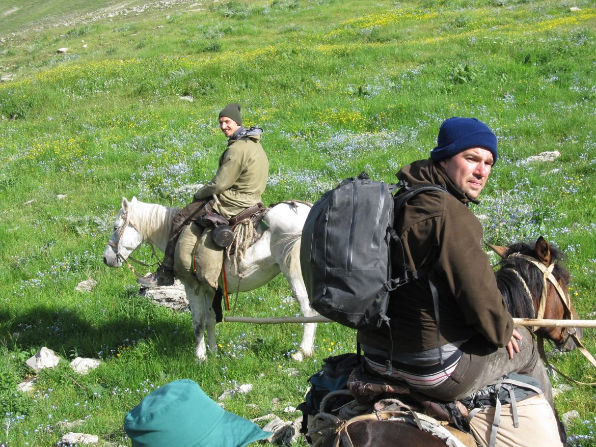 ibrahimović na konju