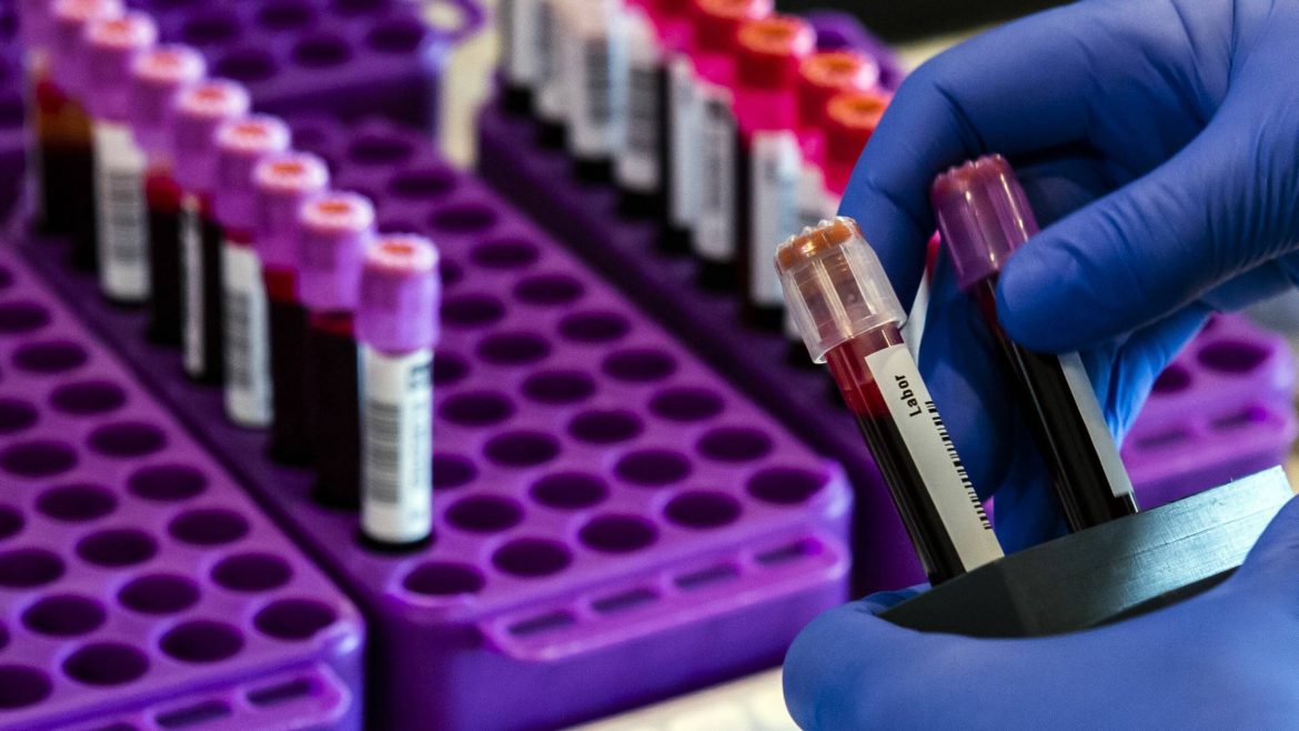 korona federacija bih