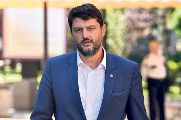 ambasador srbije u crnoj gori