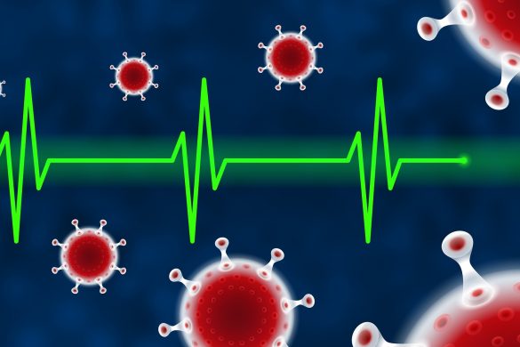 epidemiolog jela aćimović