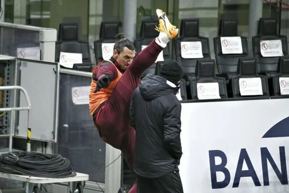 ibrahimovic taekwondo