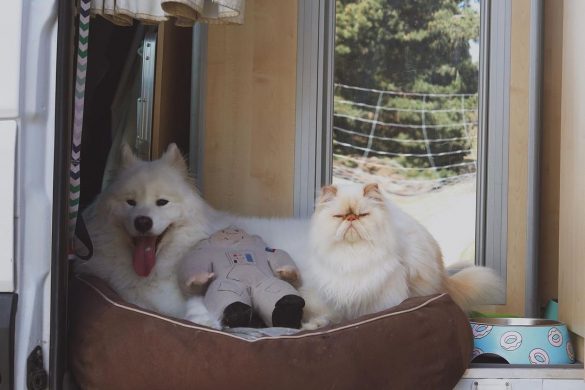 Romeo i Casper