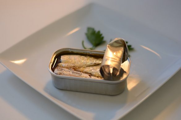 sardine