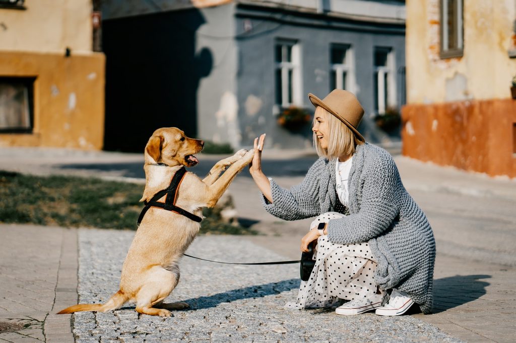 zašto psi vole ljude