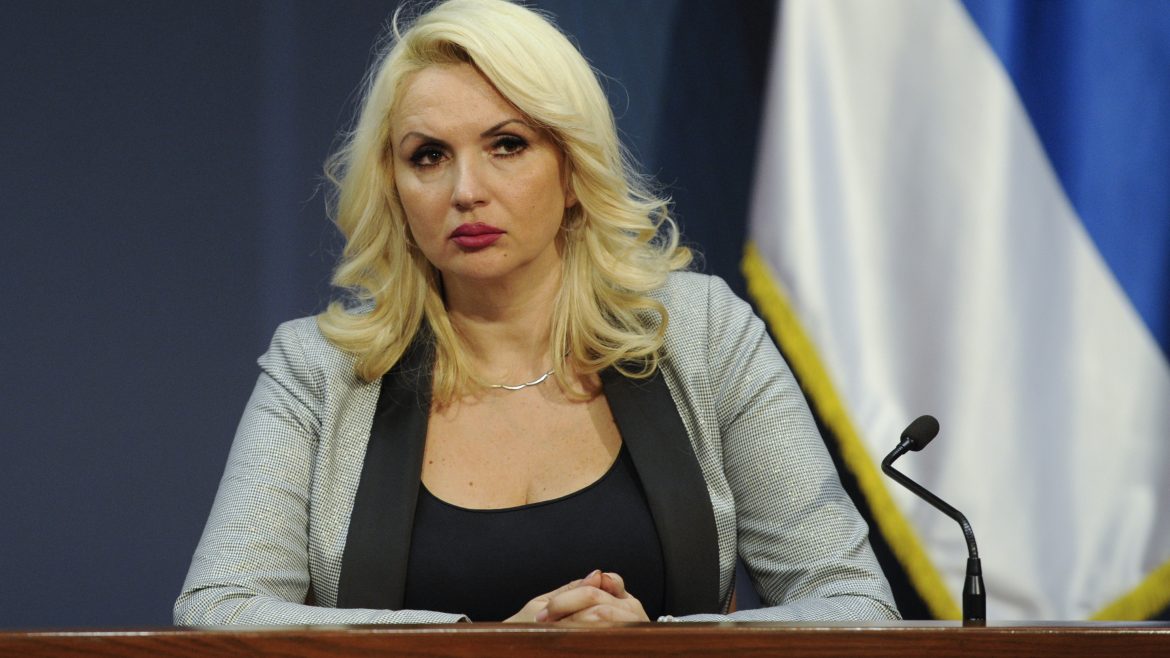 darija kisić tepavčević