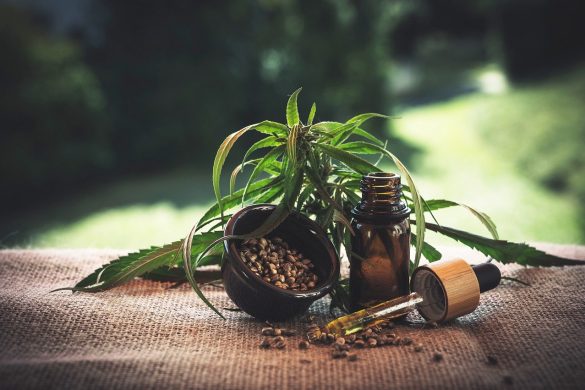 legalizacija kanabisa u bih