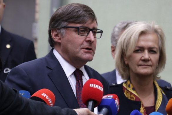 metju palmer izborni zakon bih