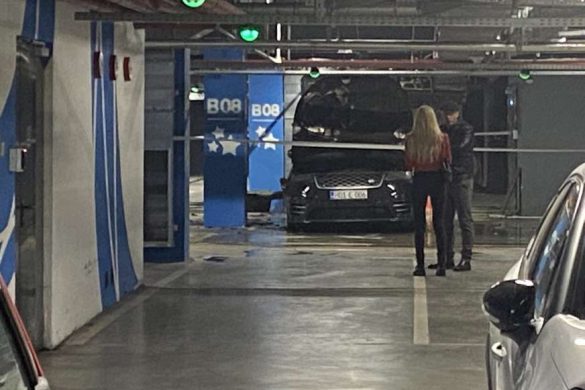 božana vujinović zapaljen auto