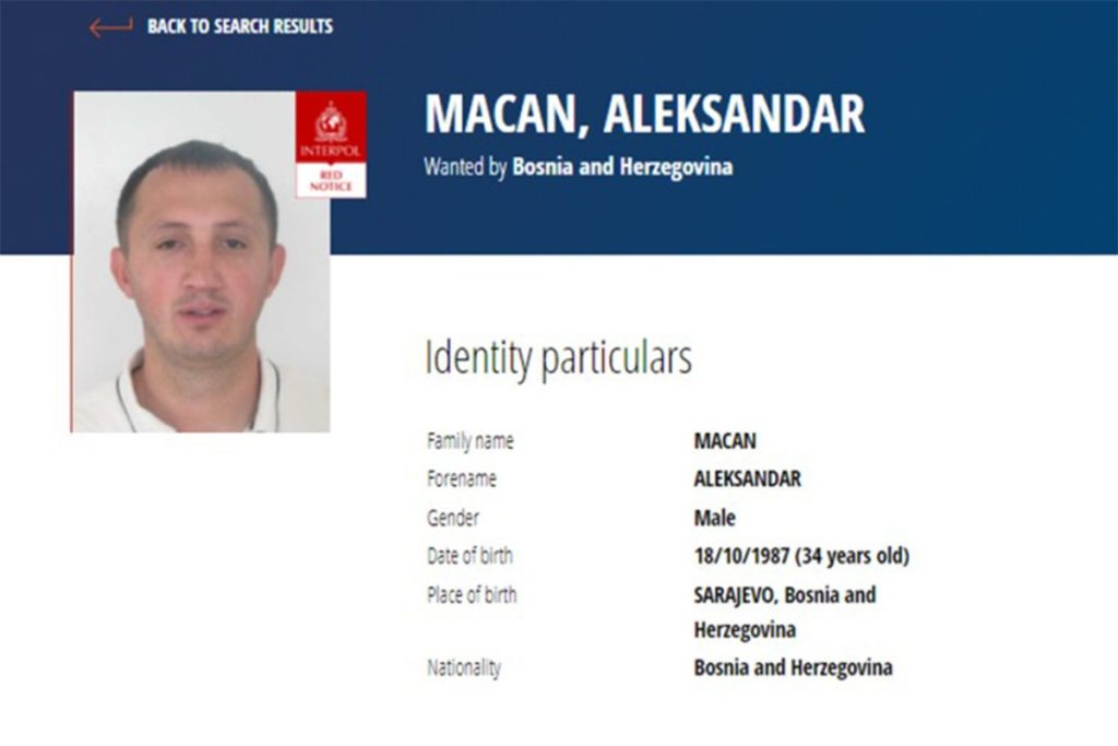 aleksandar macan