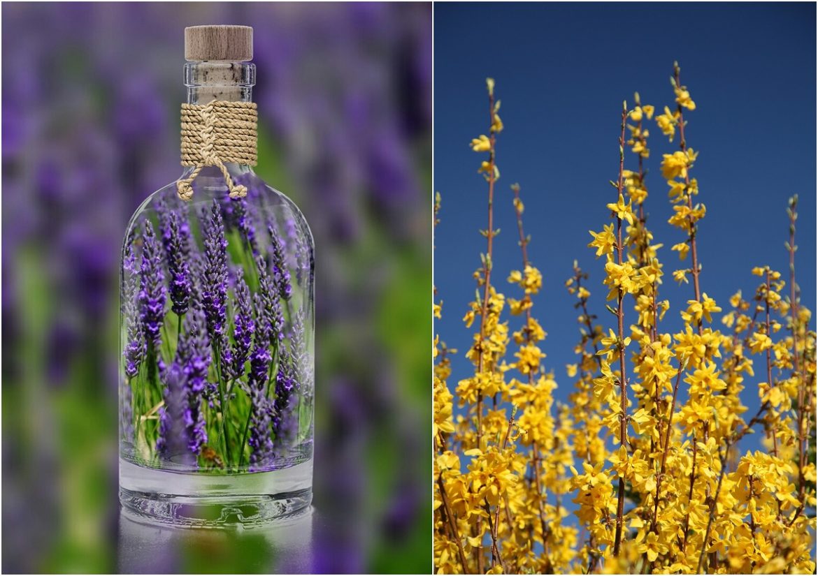 prirodni antidepresivi