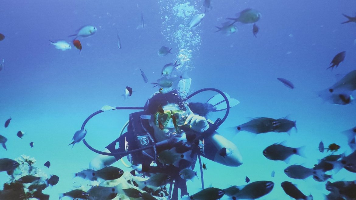 veliko plavetnilo sandra mlađanović