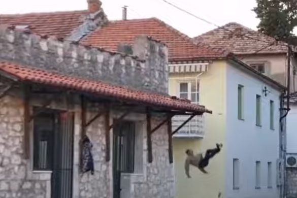 trebinjac pao sa krova