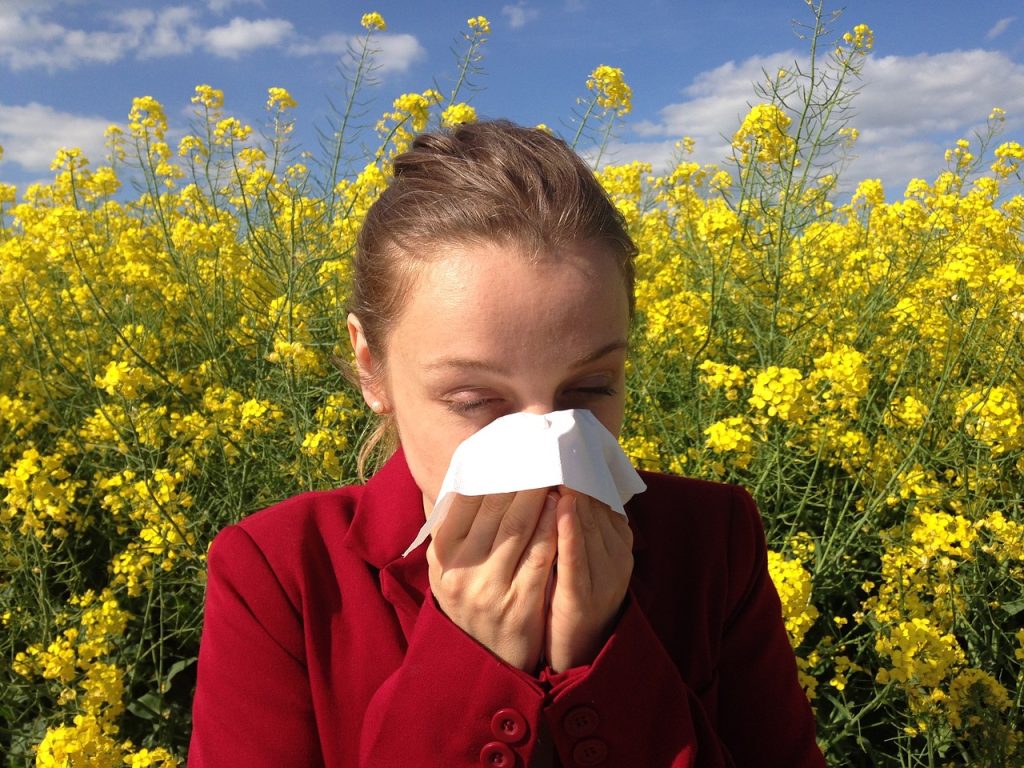 alergija polen proljeće