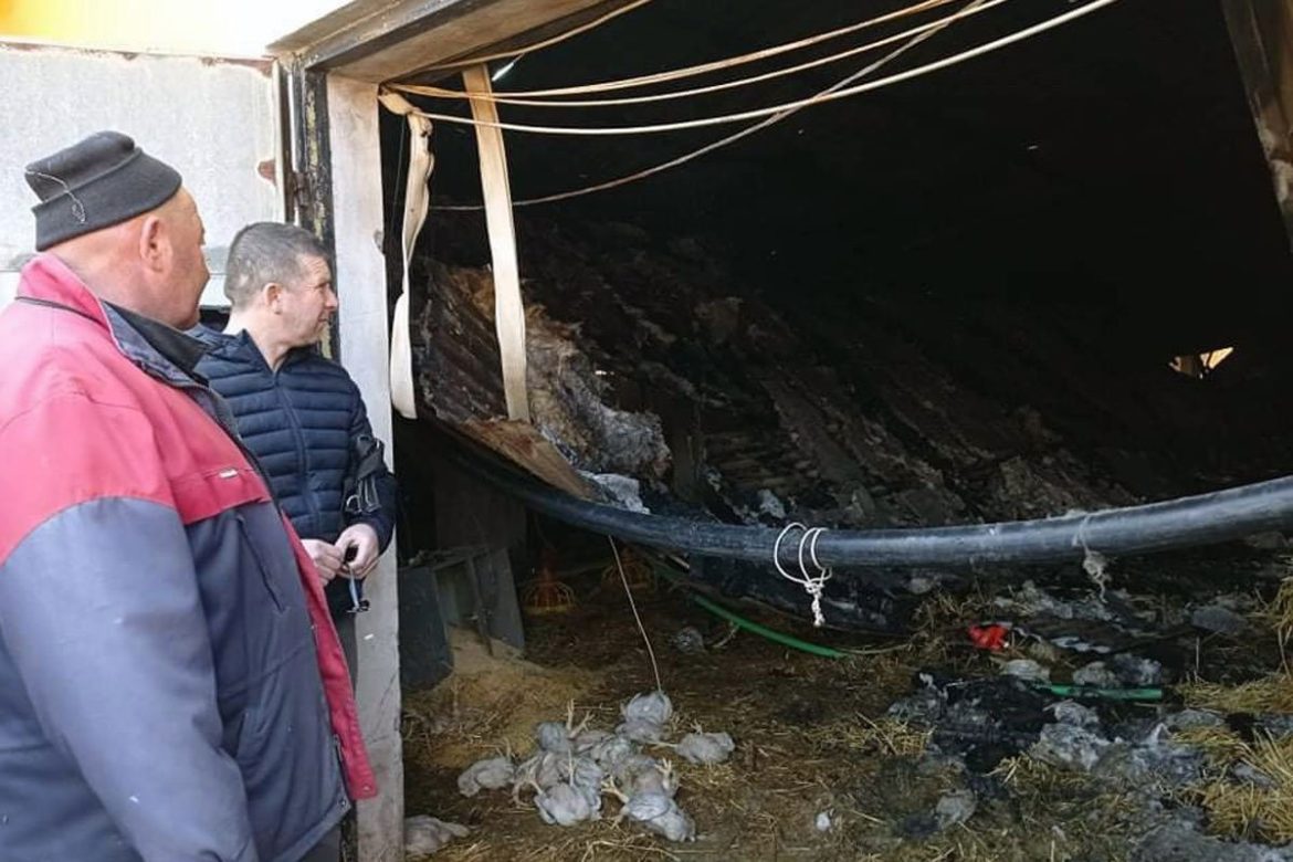 izgorjela farma pilića u karanovcu