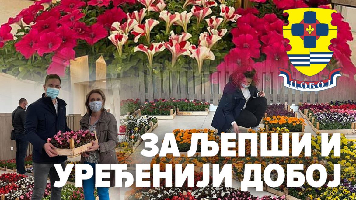 doboj zev sadnja cvijeća