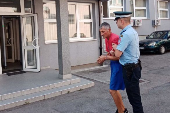 Dobro Tešendić