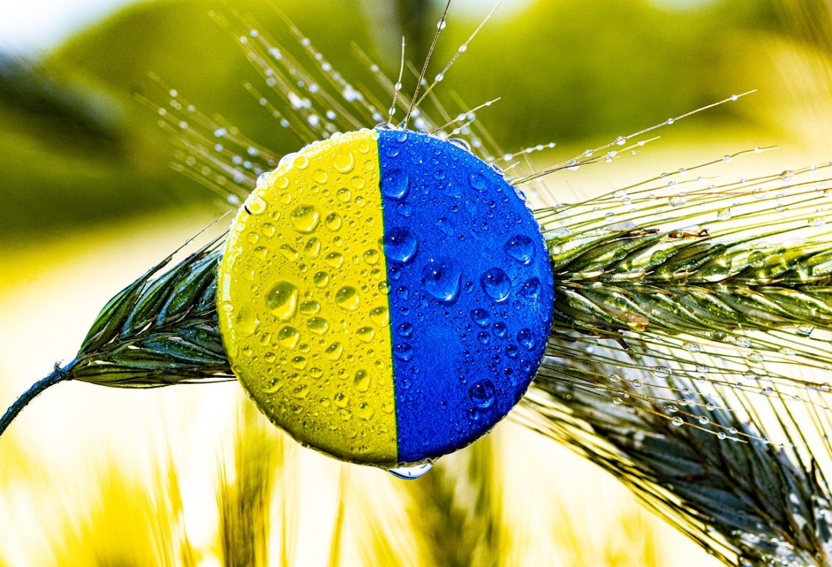 izvoz žita iz Ukrajine