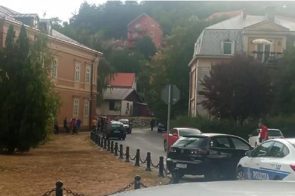 vučko borilović