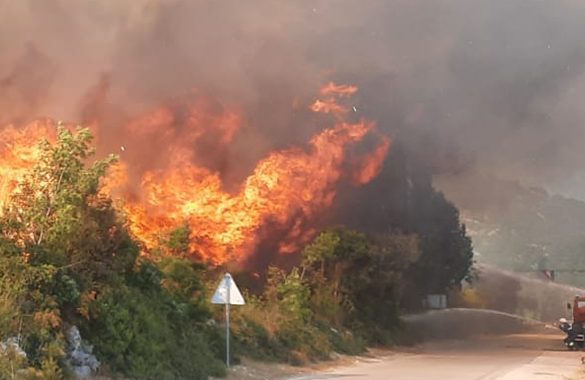 požar neum