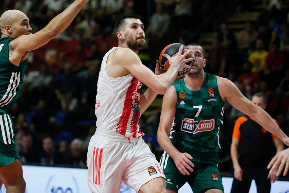 evroliga zvezda panatinaikos