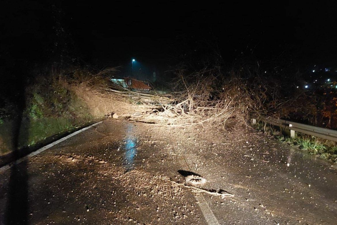 žrtva poplava novi grad