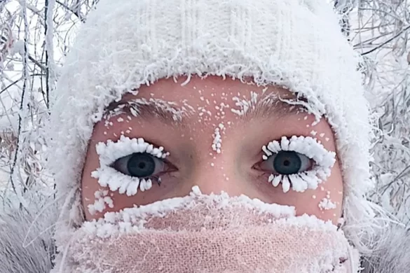 sibir
