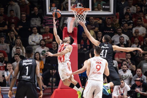 evroliga zvezda efes