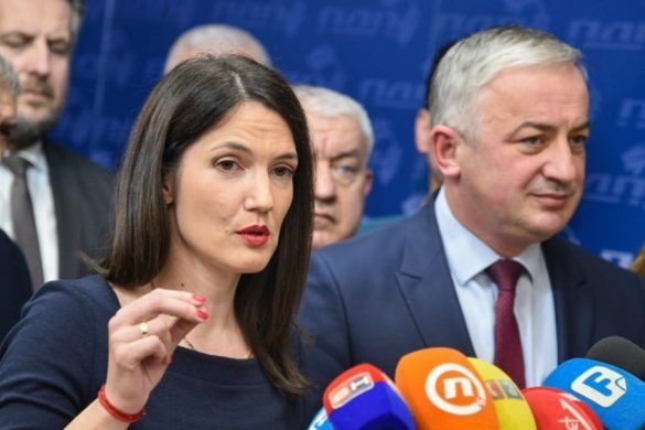 narodni front jelene trivić