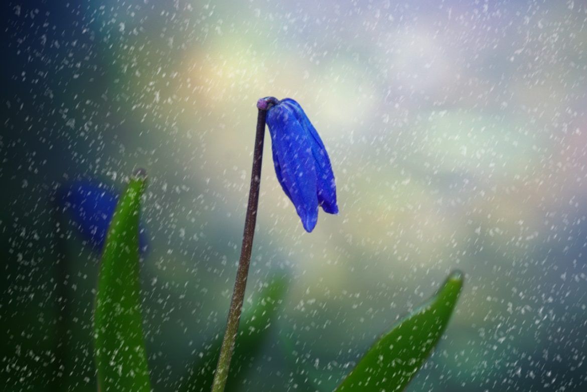 milica đorđević meteorolog