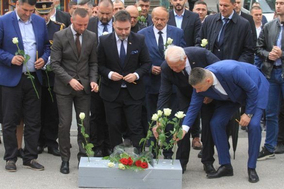 dobrovoljačka