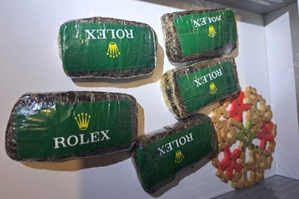 akcija polo