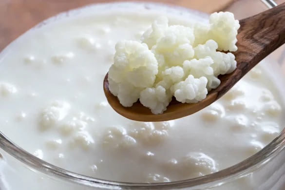 kefir dijeta
