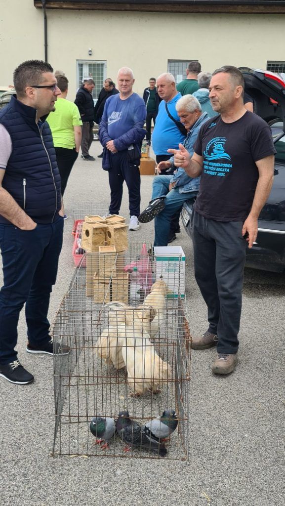 doboj izložba sitnih životinja