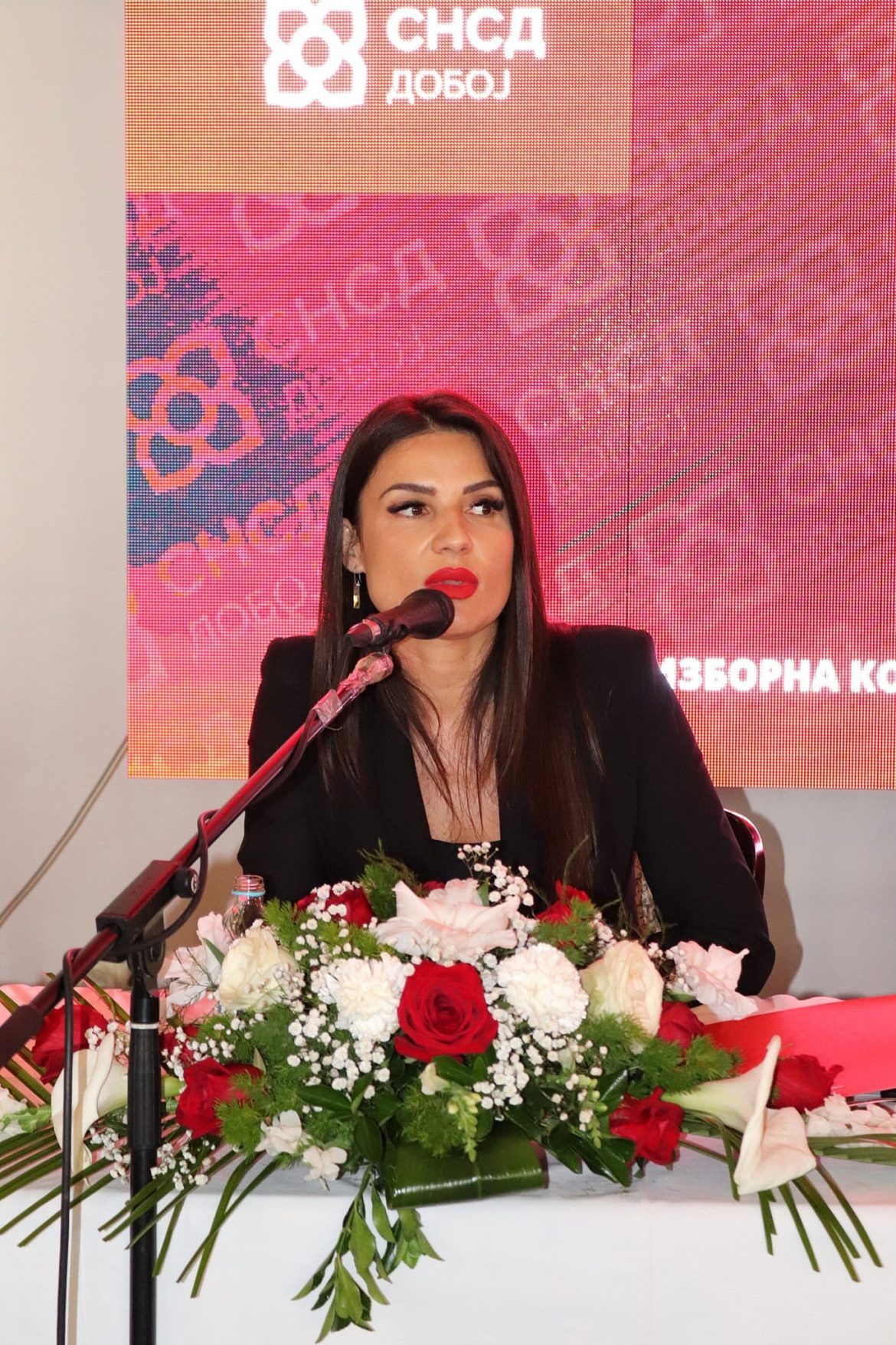 dijana kalenić snsd doboj