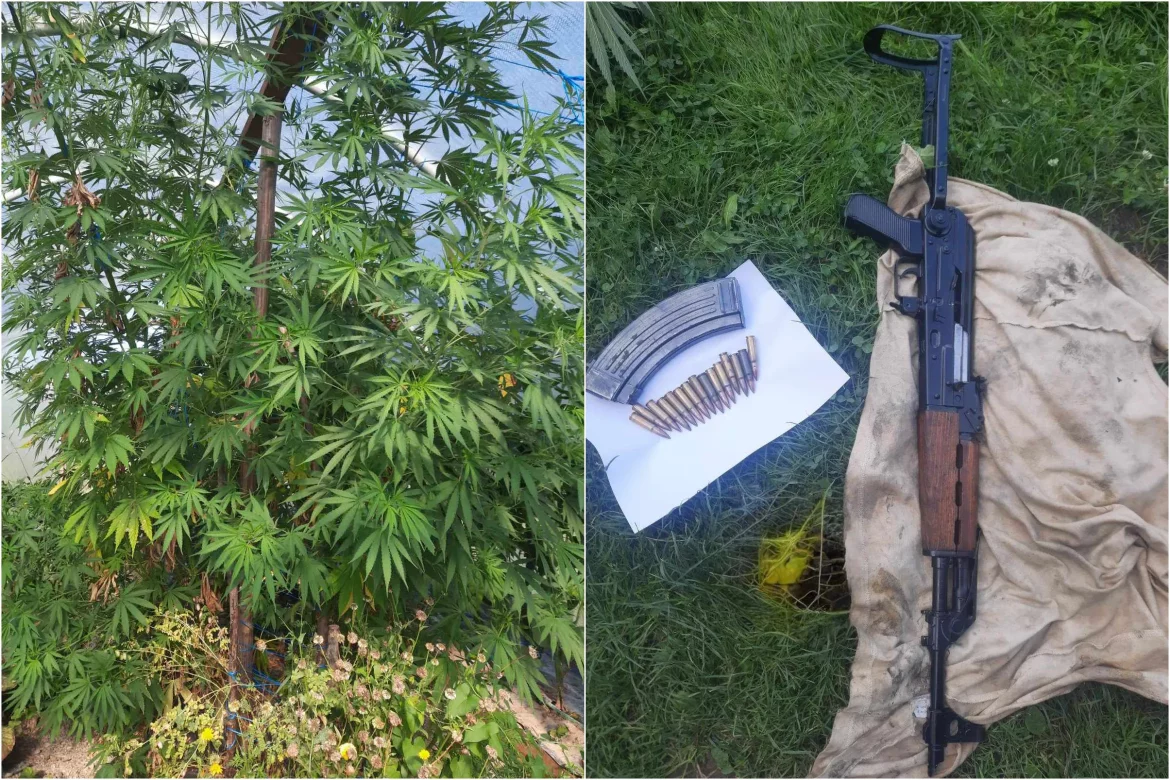 policijska akcija plantaža 2023