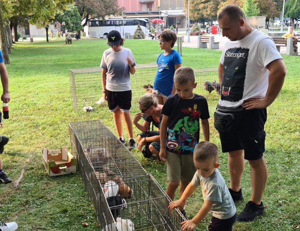 izložba sitnih životinja doboj 2023