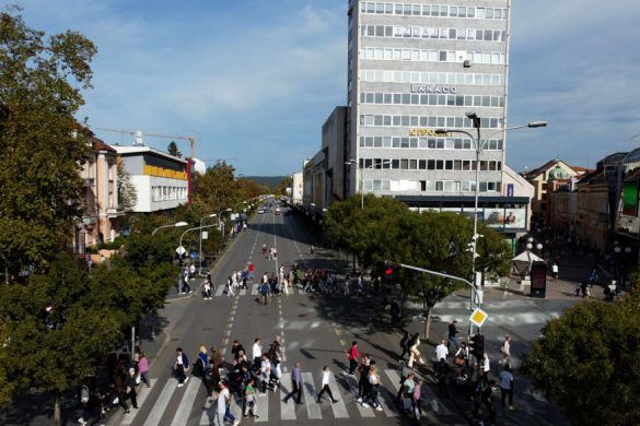 pas ujeo policajca u banjaluci