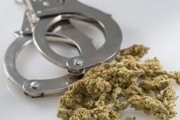 marihuana