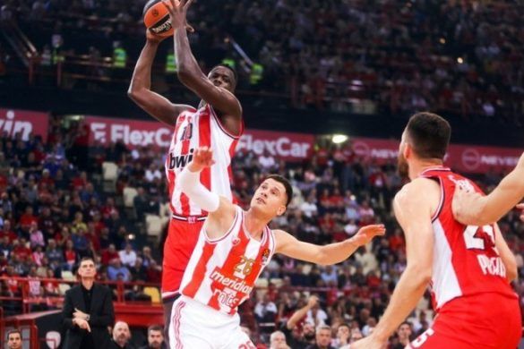 evroliga olimpijakos zvezda