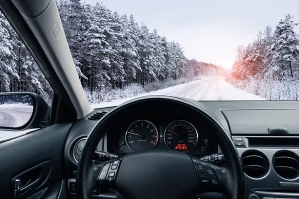 stvari koje ne treba ostavljati u automobilu zimi