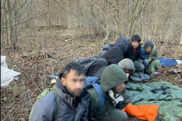 migranti