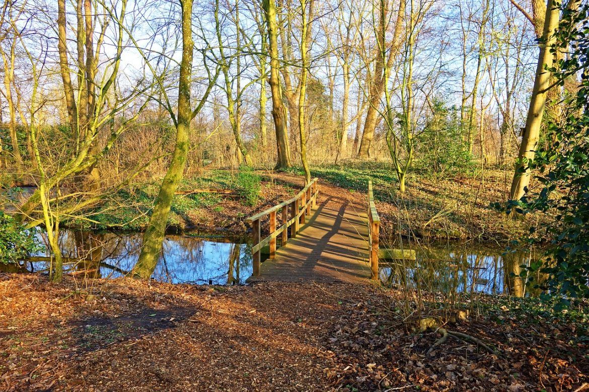 stepeni Celzijusovih