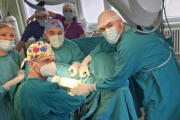 dr gordana sredanović