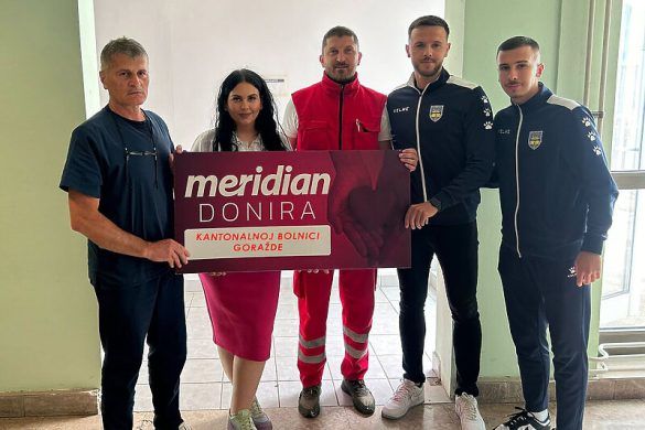Kompanija Meridan