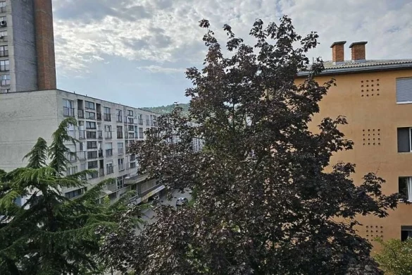 alagić braća doboj