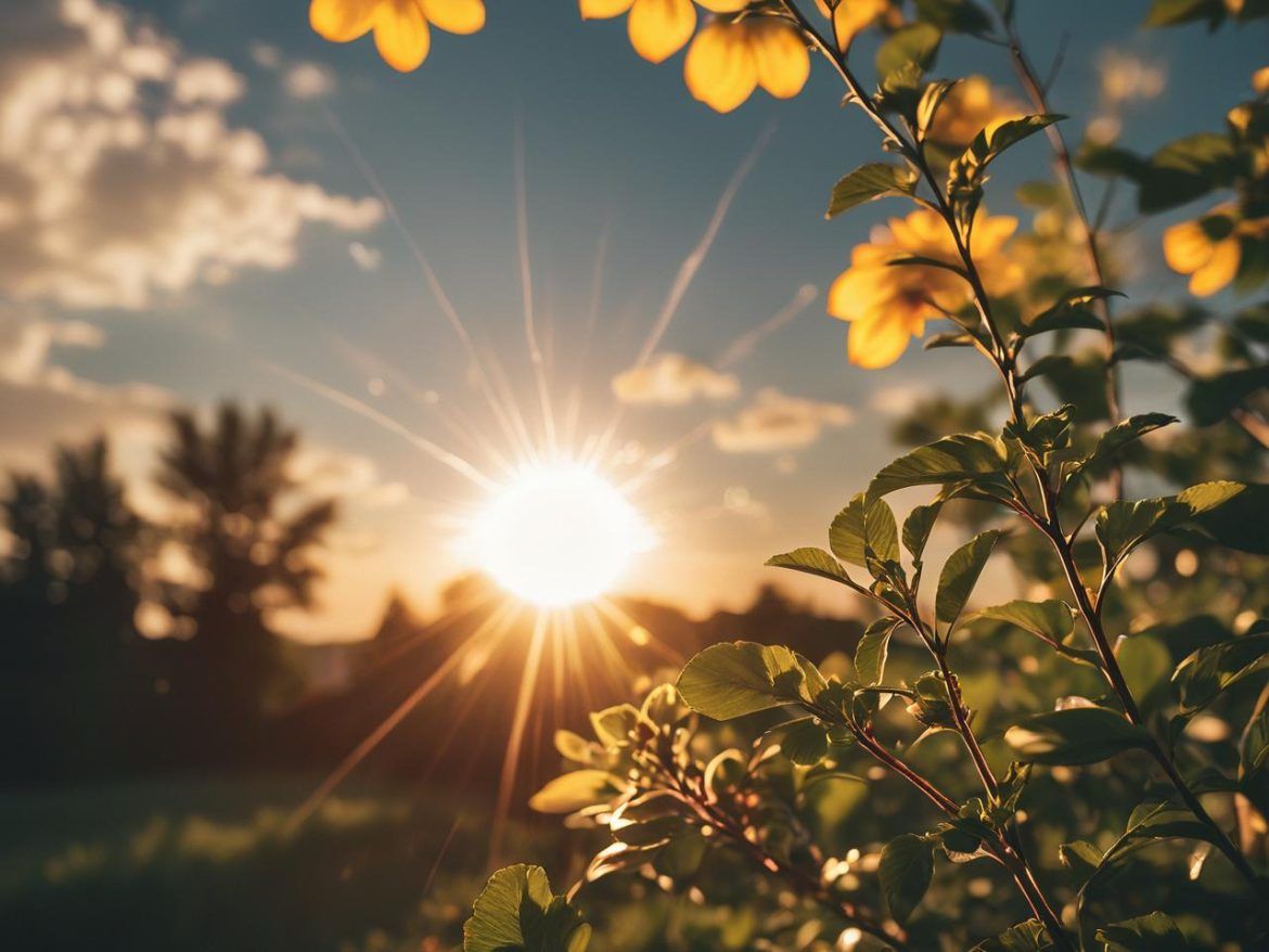 Jutarnja temperatura