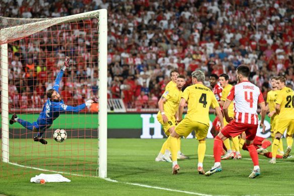 crvena zvezda bodo glimt