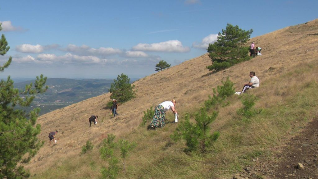 trava iva gostilj ozren doboj