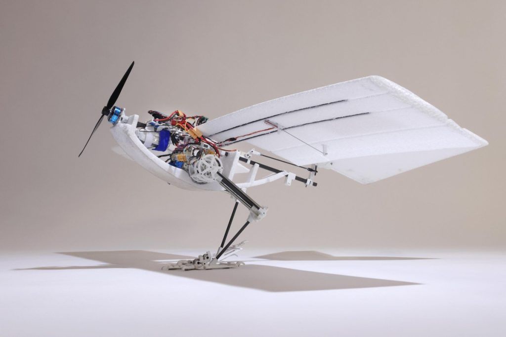 dron raven